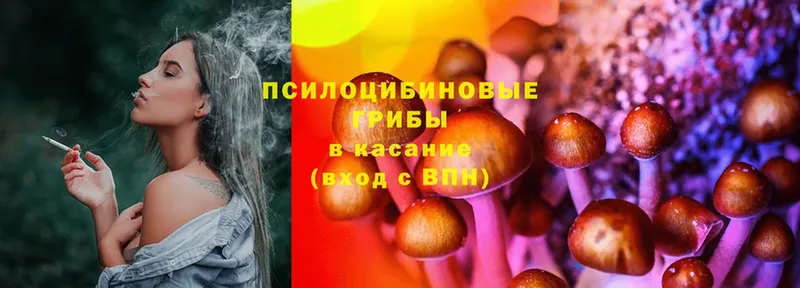 Псилоцибиновые грибы Magic Shrooms Амурск